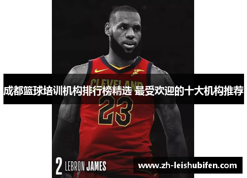 成都篮球培训机构排行榜精选 最受欢迎的十大机构推荐